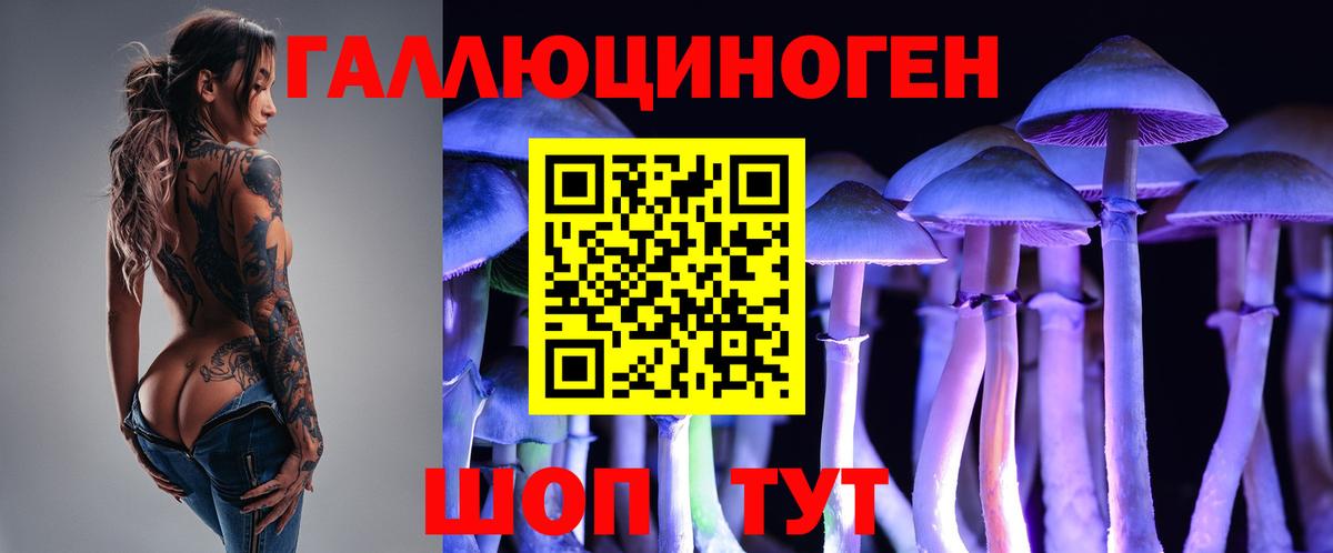 Зеленогорск  Галлюциногенные грибы MAGIC MUSHROOMS  Вход с VPN 